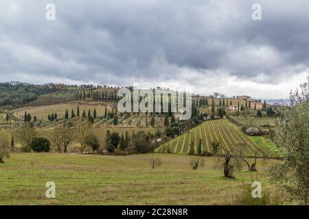 Traditional landscape of the Tuscany , Italy Stock Photo - Alamy