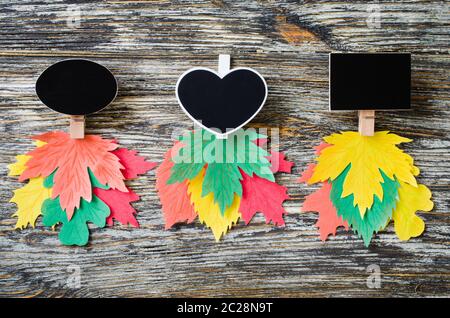 Three types of chalk notebooks with colored paper autumn leaves on a textured or old tree. Autumn concept. Fall season banner template. Top view, flat Stock Photo