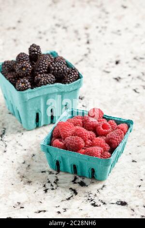 Fresh and ripe blackberries and raspberries from the farmers market in blue paper boxes on marble background Stock Photo