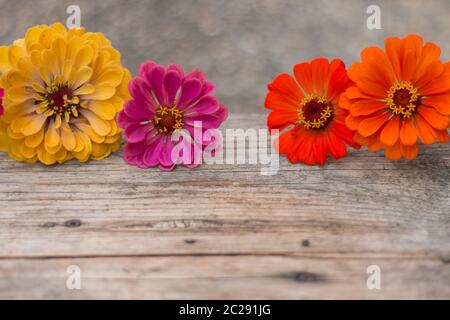 Arrangement of beautiful cute flowers on a rustic wooden table. Copy space. Stock Photo