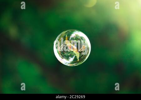 Soap bubbles floating in the air, summer time Stock Photo