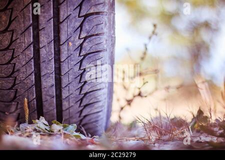 Close up of car tyre in the desert, safari Stock Photo