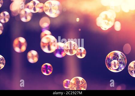 Soap bubbles floating in the air, summer time Stock Photo