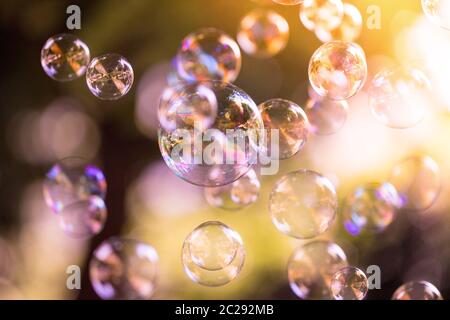 Soap bubbles floating in the air, summer time Stock Photo