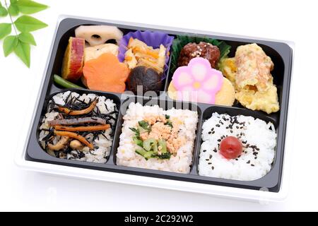 Bento box with a side of potato salad - Picture of Sanga Japanese