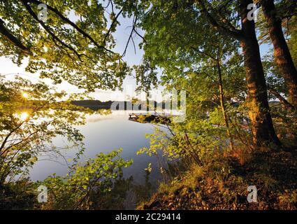 Evening atmosphere, Hartsee, EggstÃ¤tt, Chiemgau, Upper Bavaria, Germany, Westeurope Stock Photo