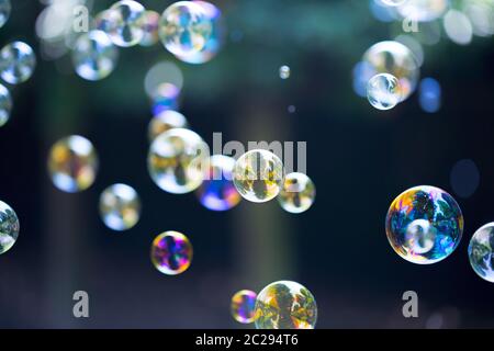 Soap bubbles floating in the air, summer time Stock Photo