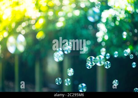 Soap bubbles floating in the air, summer time Stock Photo