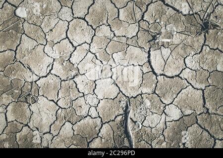 Dry cracked earth, global warming Stock Photo
