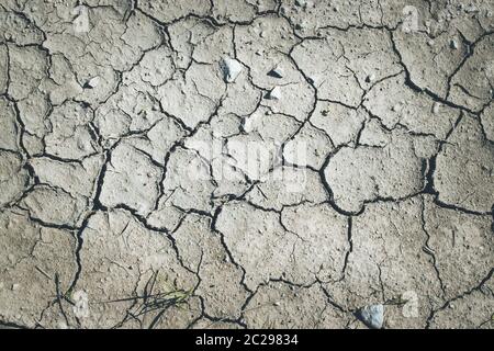 Dry cracked earth, global warming Stock Photo