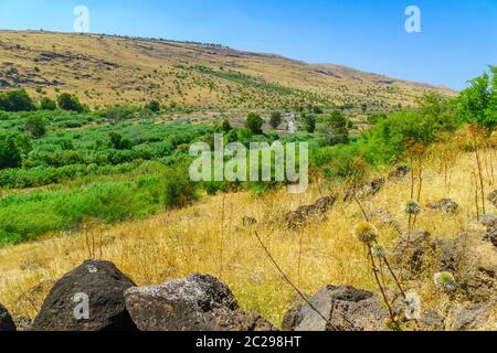 View of the Jordan valley and the Jordan River, a little north of the Sea of Galilee. Northern Israel Stock Photo