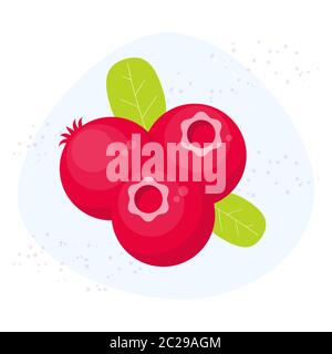 Vector cranberry icon. Flat cartoon berry illustration Stock Vector