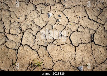 Dry cracked earth, global warming Stock Photo