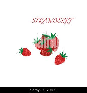 Vector set of fresh ripe strawberries. Stock Vector