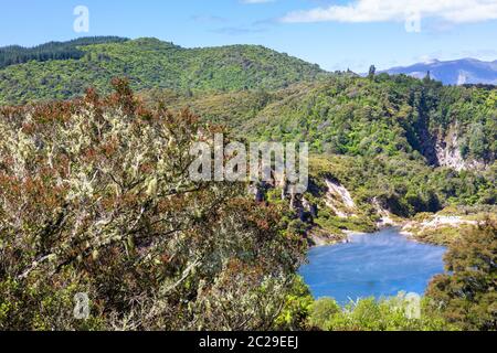 volcanic activities at waimangu Stock Photo