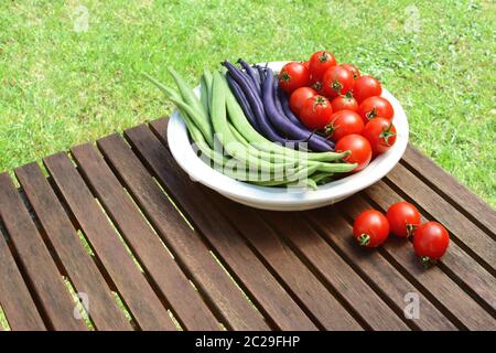 Green calypso beans and purple French beans in a dish with red cherry tomatoes, three spilled on the wooden picnic table Stock Photo