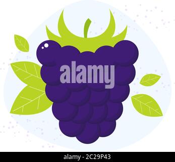 Vector blackberry icon. Flat cartoon berry illustration Stock Vector