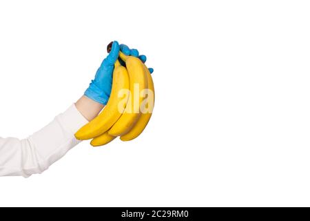Female hand in blue disposable glove holds bunch of bananas isolated on white background. Hygiene or healthy eating in the kitchen concept. Copy space Stock Photo