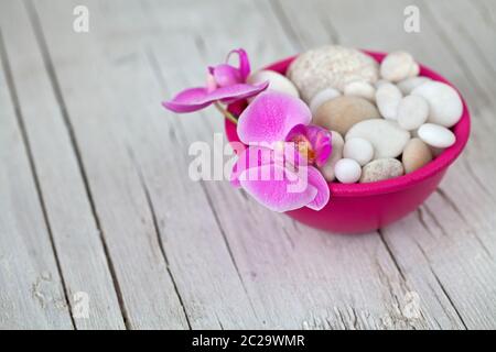 Zen style still life with pink orchid flowers and pebble in a pink bowl Stock Photo