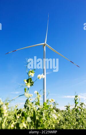 Wind generators installed on agricultural fields. A harmonious combination of technology and natural resources. Stock Photo