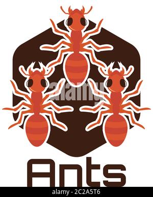 ants logo isolated on white background, vector illustration Stock Vector