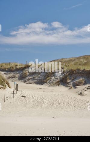 In the dunes of Julianadorp aan Zee, District Den Helder, Province Holland, The Netherlands, West Europe Stock Photo