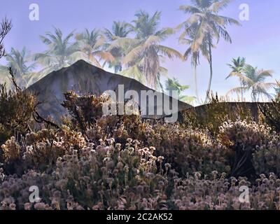 The volcano 'El Teide' on the Canary Island of Tenerife in the evening light, in front of it blooming endemic Teide-strawflowers. Slightly blue evenin Stock Photo
