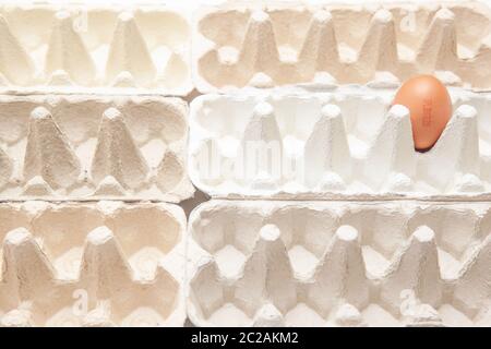 One egg with a number in empty cartons symbolizing mass production Stock Photo