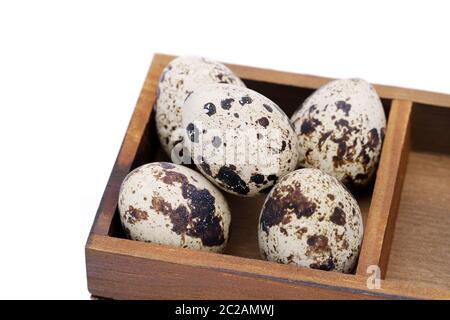 quail eggs in wooden box on white background Stock Photo