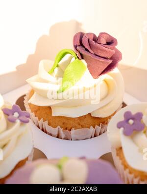 Download Delicious Cupcake With Paper Box On Yellow Background Stock Photo Alamy Yellowimages Mockups