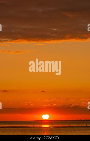 Evening sun, Wadden Sea, seen from the North Sea island of Neuwerk, UNESCO World Heritage, Federal State of Hamburg, North Germany, Europe Stock Photo