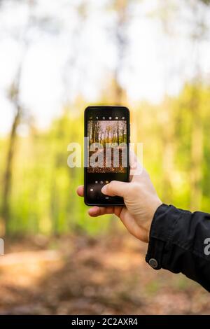Taking a picture with a phone in the forest by a man Stock Photo