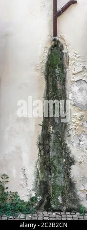 Rain water on the wall causing mold and peeling paint. Stock Photo