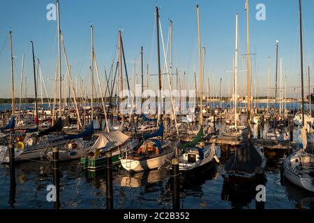 Marina in Kiel during the Kiel Week Stock Photo