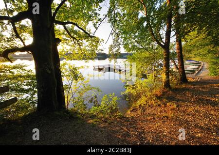 Evening atmosphere, Hartsee, EggstÃ¤tt, Chiemgau, Upper Bavaria, Germany, West-Europe Stock Photo