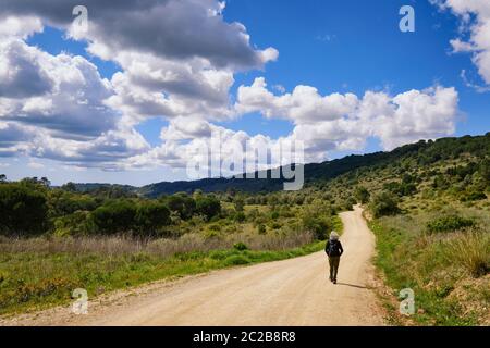 Tranquil walking trail along Vale dos Barris, Arrabida Nature Park. Palmela, Portugal Stock Photo