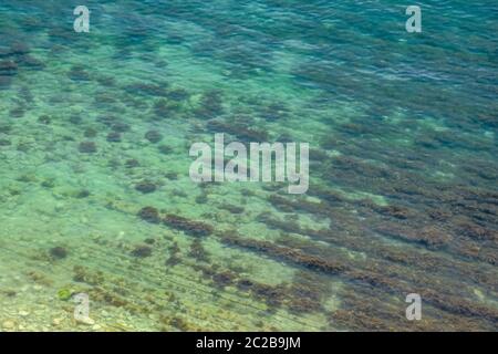 Layered shore structure in shallow water. vertical layers of soil. Stock Photo