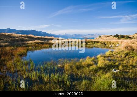 Scenic view from the shore of Lake Pukaki, New Zealand, on a warm summer evening with Mount Cook visible in the distance. Stock Photo