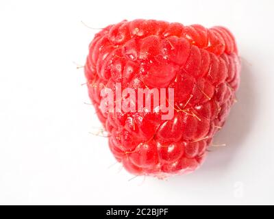 A single raspberry on a white background with copy space Stock Photo