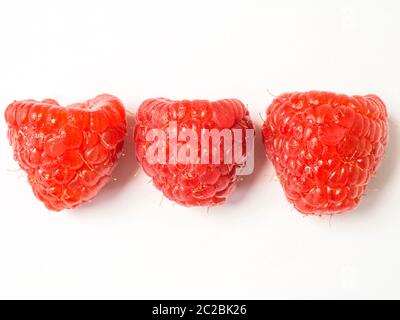 Three ripe raspberries on a white background with copy space above and below Stock Photo