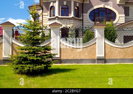 Green spruce grows on a green lawn in front of a wall of decorative stone in front of a rich house. Stock Photo
