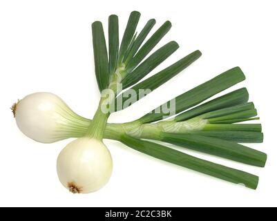 Young napiform onion isolated on a white background Stock Photo