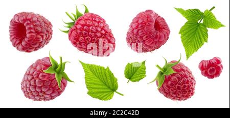 Raspberry collection isolated on white background Stock Photo
