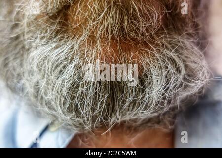 Old mans grey beard close-up Stock Photo