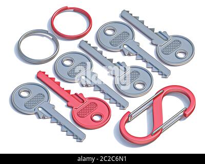 Two Metal Keys with Key Rings Isolated on White Background 3D ...