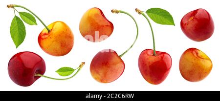 Yellow cherries with stems and leaves isolated on white background Stock Photo