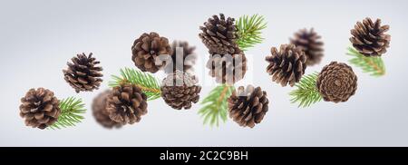 Brown pine cones with fir tree branches close up