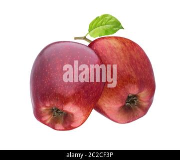 Two red apples on branch isolated on white background Stock Photo