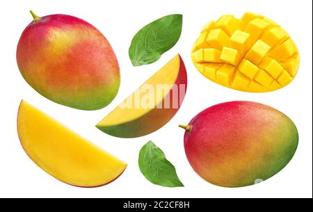 Mango collection isolated on white background with clipping path Stock Photo
