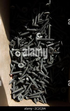 black screws in cardboard box Stock Photo